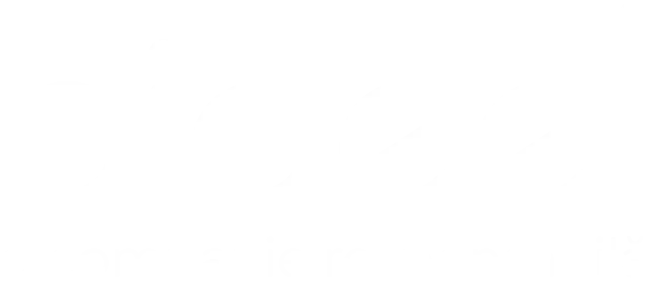 Prisma Solutions Digital Partner