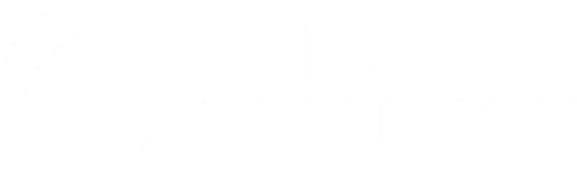 Prisma Solutions Digital Partner